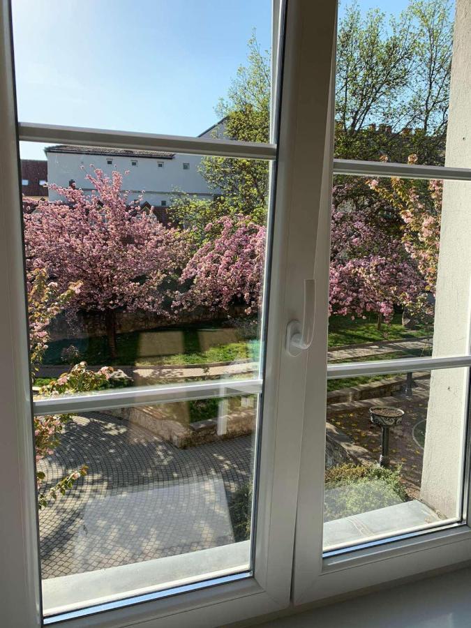 Negy Evszak Apartman- Tapolca Exterior foto